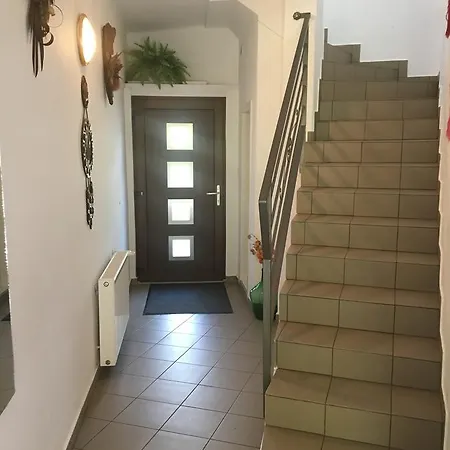 Vadrozsa Vendeghaz *