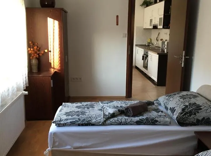Pensiune Vadrozsa Vendeghaz
