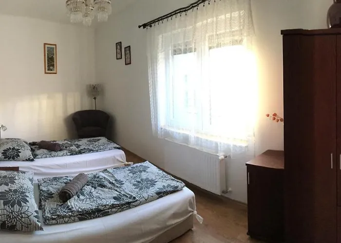 Pensiune Vadrozsa Vendeghaz *